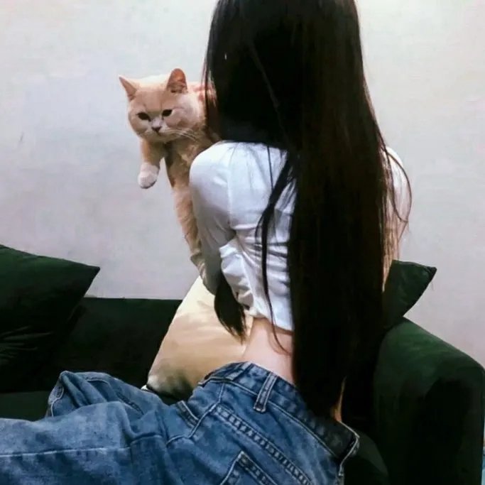 女神捕之迷局